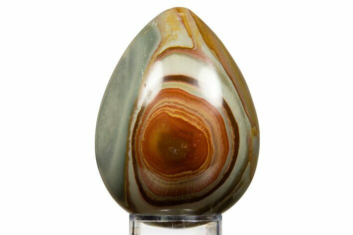 Polished Polychrome Jasper Egg - Madagascar #322513